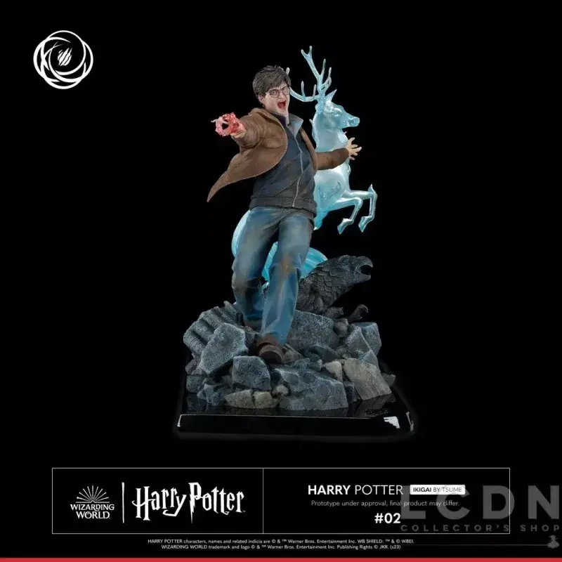 HARRY POTTER