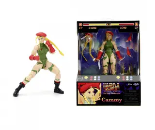 Cammy, vue 4
