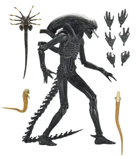 Ultimate Xenomorph XX121, Ansicht 3