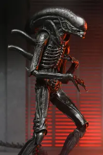 Ultimate Xenomorph XX121, Ansicht 4