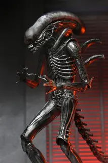Ultimate Xenomorph XX121, Ansicht 9