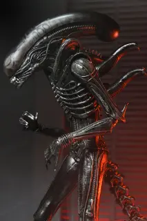 Ultimate Xenomorph XX121, Ansicht 7
