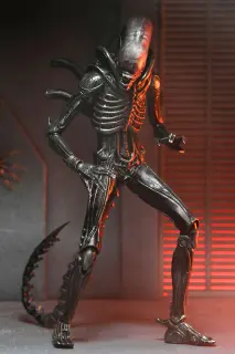 Ultimate Xenomorph XX121, Ansicht 6