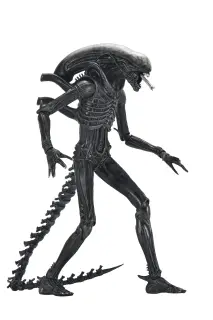 Ultimate Xenomorph XX121, Ansicht 10