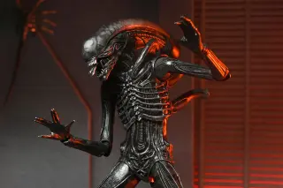 Ultimate Xenomorph XX121, Ansicht 12