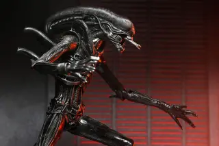 Ultimate Xenomorph XX121, Ansicht 13