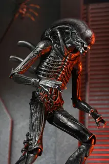 Ultimate Xenomorph XX121, Ansicht 14