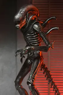 Ultimate Xenomorph XX121, Ansicht 16