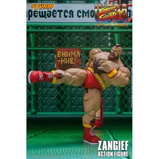 Zangief, Ansicht 6