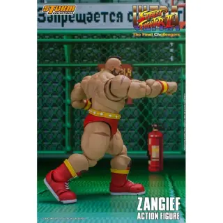 Zangief, Ansicht 7