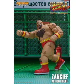 Zangief, Ansicht 8