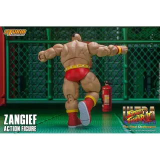 Zangief, Ansicht 9