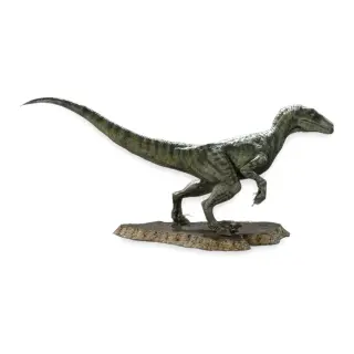 Charlie Velociraptor