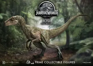Echo Velociraptor, view 4