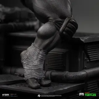 Donatello (Black and White Variant), vista 10