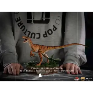 Velociraptor, Ansicht 3
