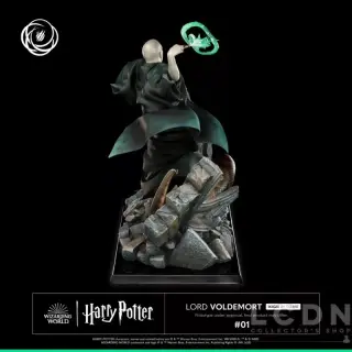 LORD VOLDEMORT, vista 6