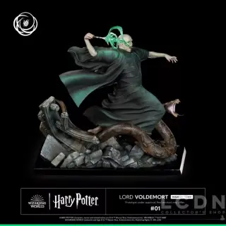 LORD VOLDEMORT, vista 8