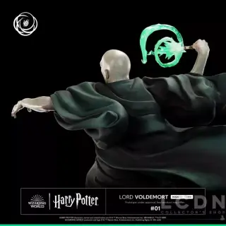 LORD VOLDEMORT, vista 10