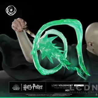 LORD VOLDEMORT, vista 11