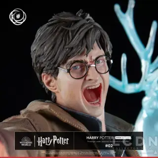 HARRY POTTER, weergave 2