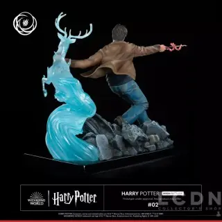 HARRY POTTER, weergave 6