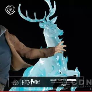 HARRY POTTER, weergave 9