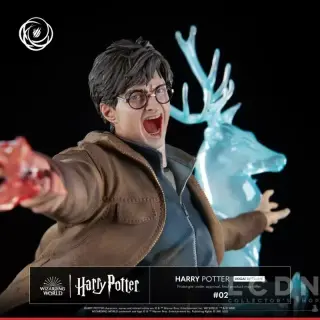 HARRY POTTER, weergave 10