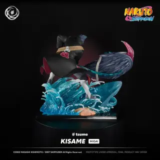 KISAME, Ansicht 8