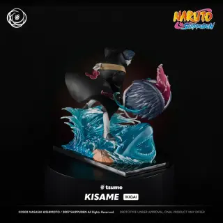 KISAME, Ansicht 9