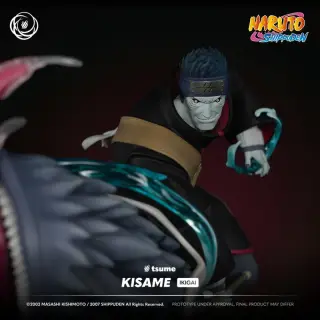 KISAME, Ansicht 12