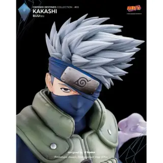 KAKASHI, vista 2