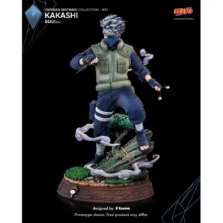 KAKASHI, vista 4