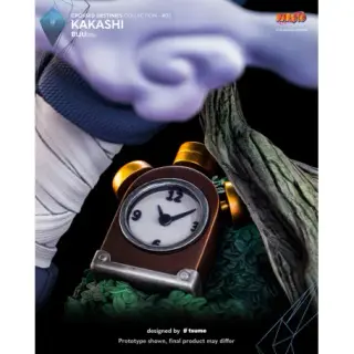 KAKASHI, vista 11