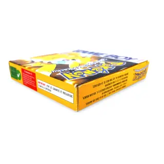 Pokémon Version Jaune — Game Boy, vue 5