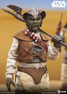 Die Rückkehr der Jedi-Ritter Figur 1/6 Wooof 32 cm, Ansicht 5