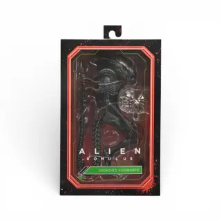 Scorched Xenomorph