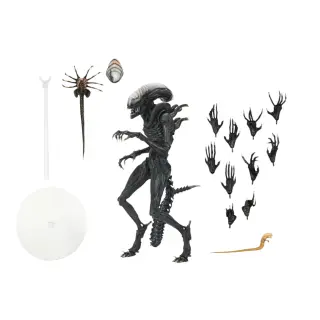 Scorched Xenomorph, Ansicht 2