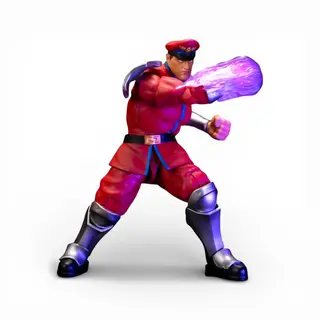 M. Bison, view 4