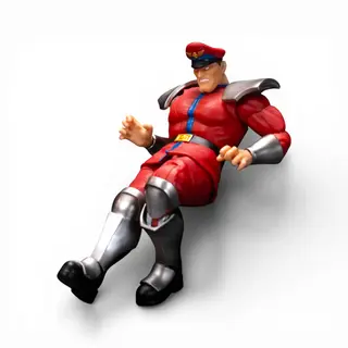 M. Bison, view 5
