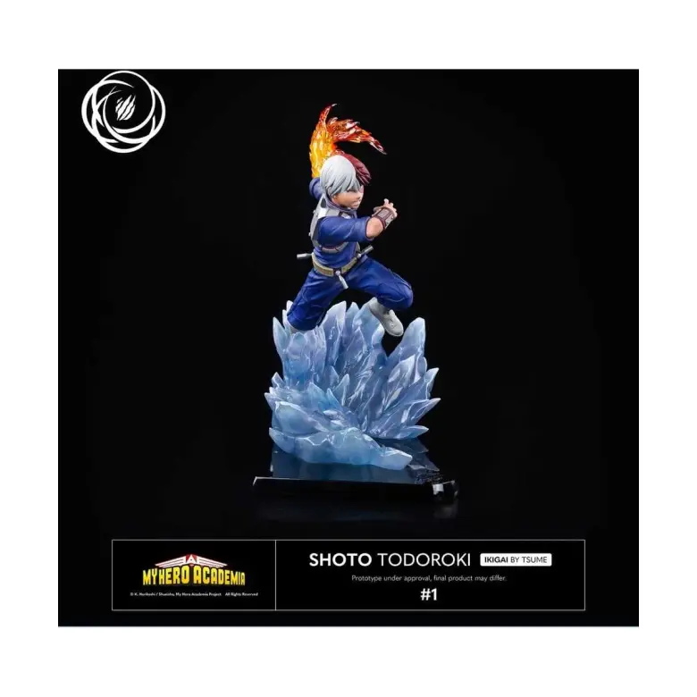 SHOTO TODOROKI