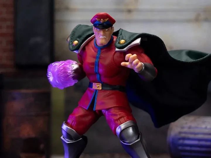 M. Bison, vue 6