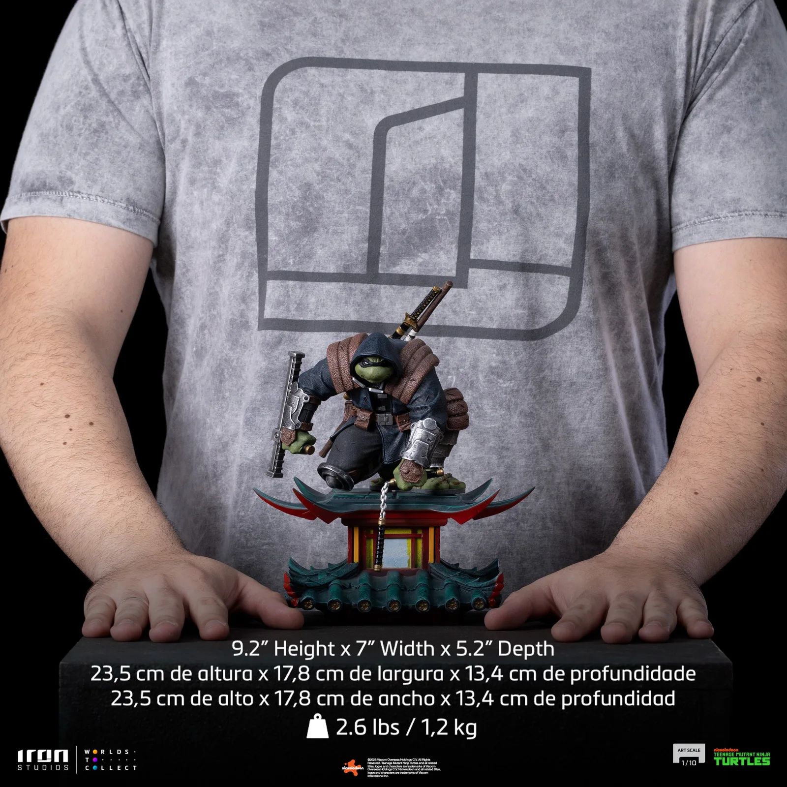 Vue 13