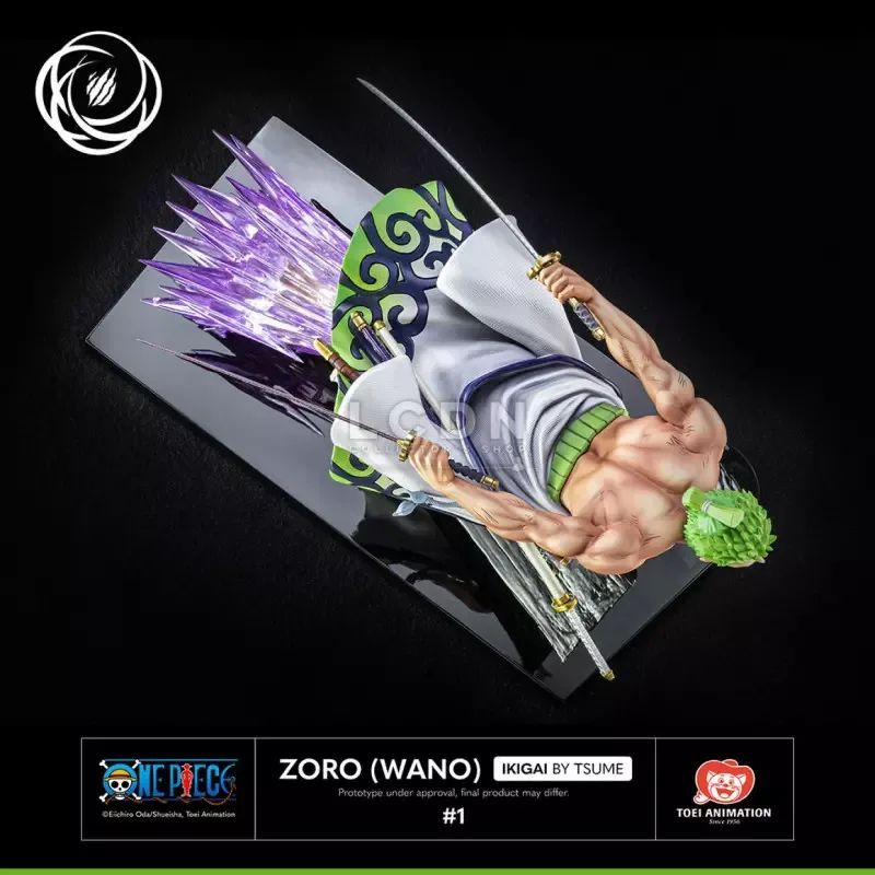 ZORO (WANO), vue 9