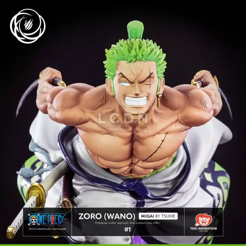 ZORO (WANO), vue 10